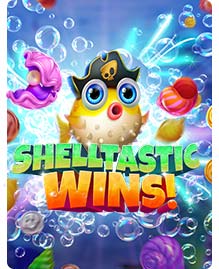 Shelltastic Wins!