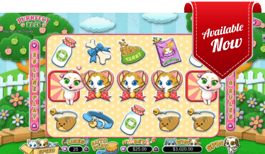 Purrfect Pets Spiel bei Golden Euro